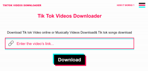 TikTok Videos