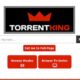 TorrentKing