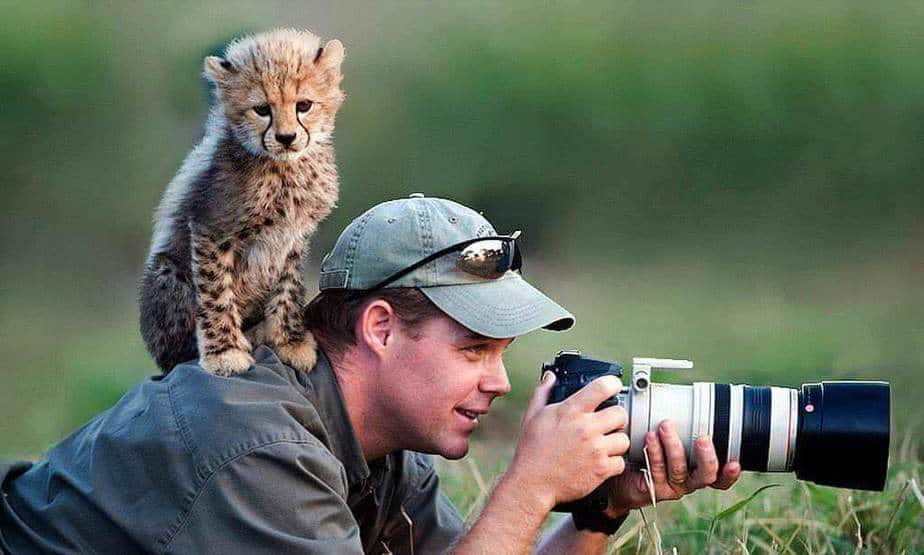 How to Become a Great Animal Photographer