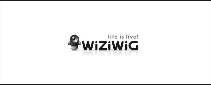 Wiziwig Alternatives