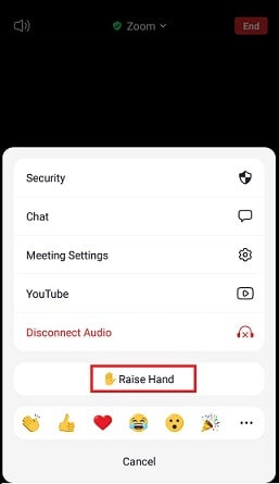 How To Raise Your Hand In Zoom