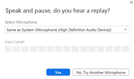 Zoom Audio Problems