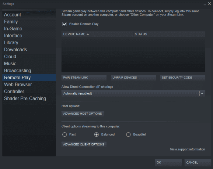 Steam Remote Play Not Working