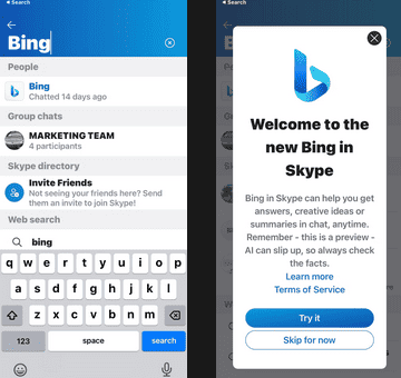 Use Bing Chat Skype