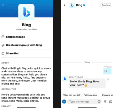 Use Bing Chat Skype