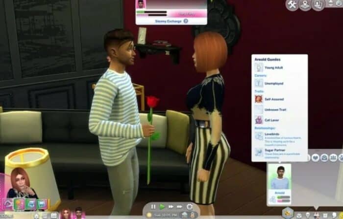 Sims 4 Adult Mods