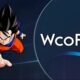 WCOFun.Net